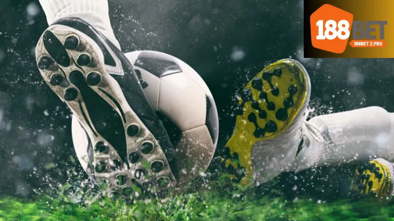 Phân tích thị trường và xu hướng cược